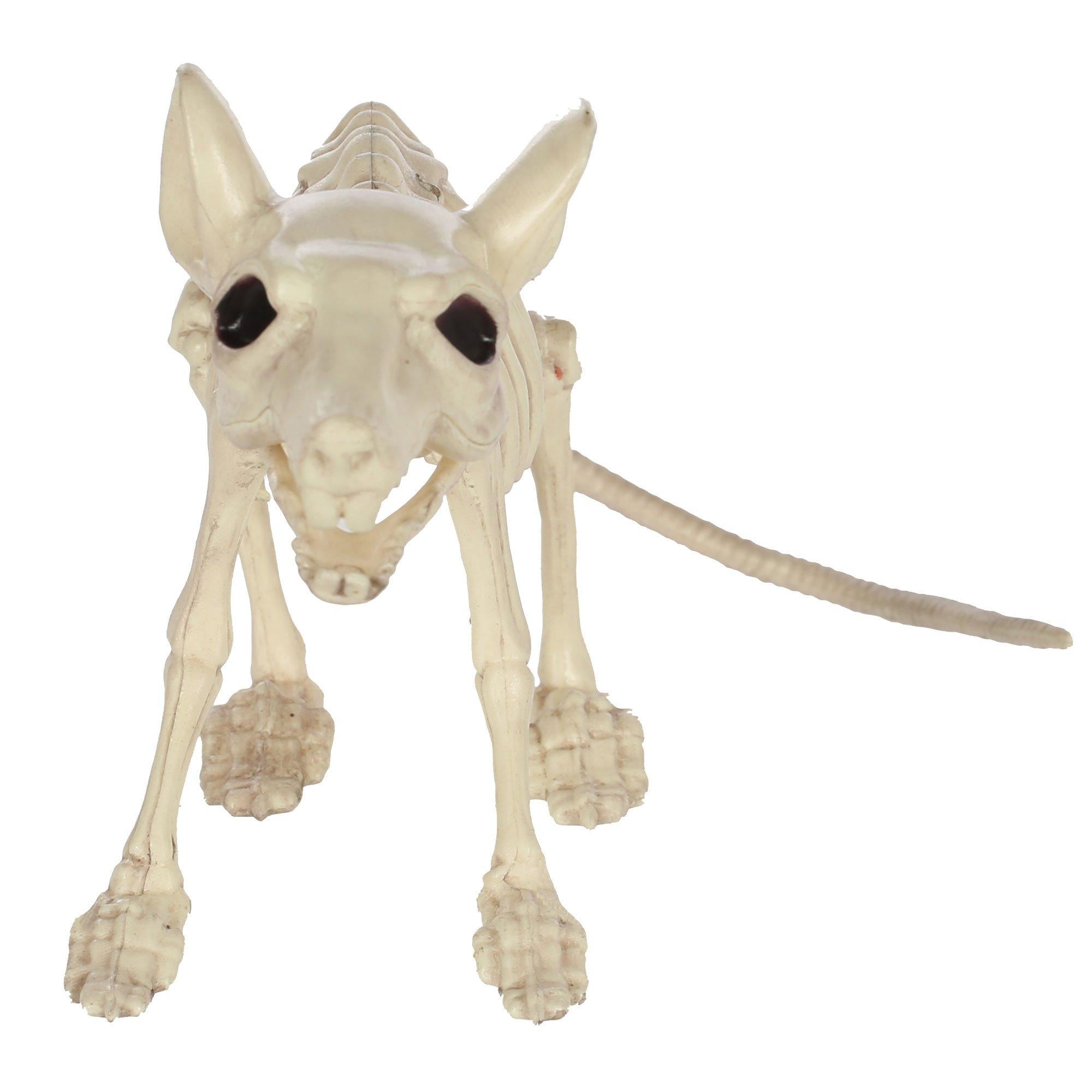 Large Plastic Rat Skeleton, 13.5in x 7in - Image 2