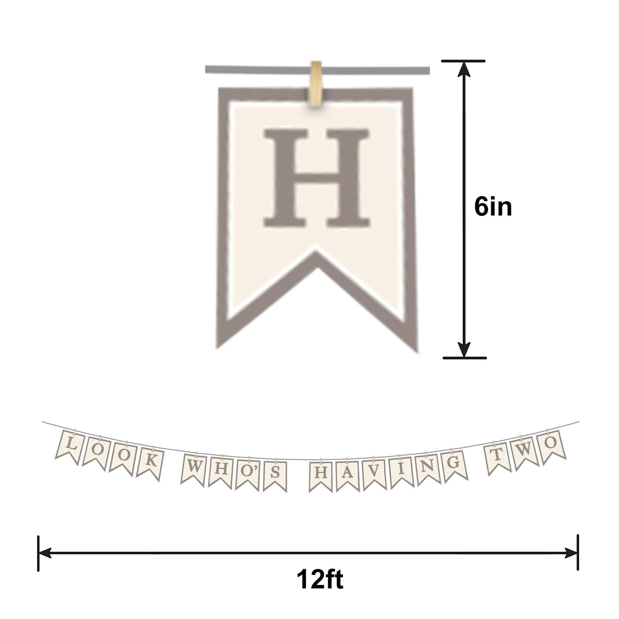 Look Who's Having Two Baby Shower Cardstock Pennant Banner, 12ft - Image 2