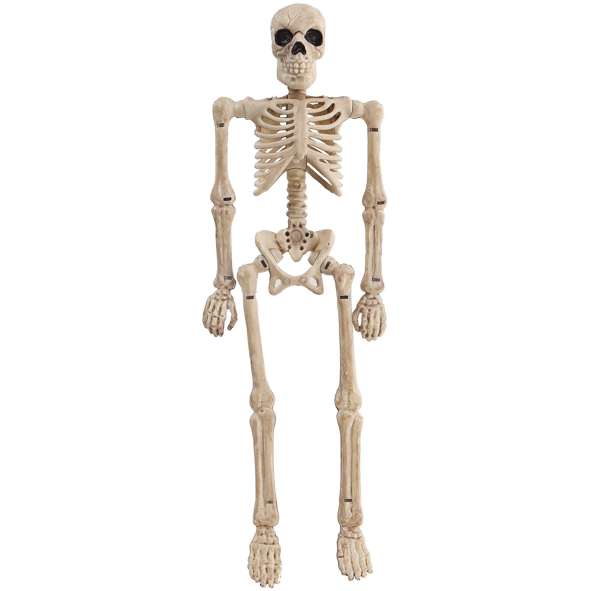 Miniature Poseable Skeleton, 8in - Image 2