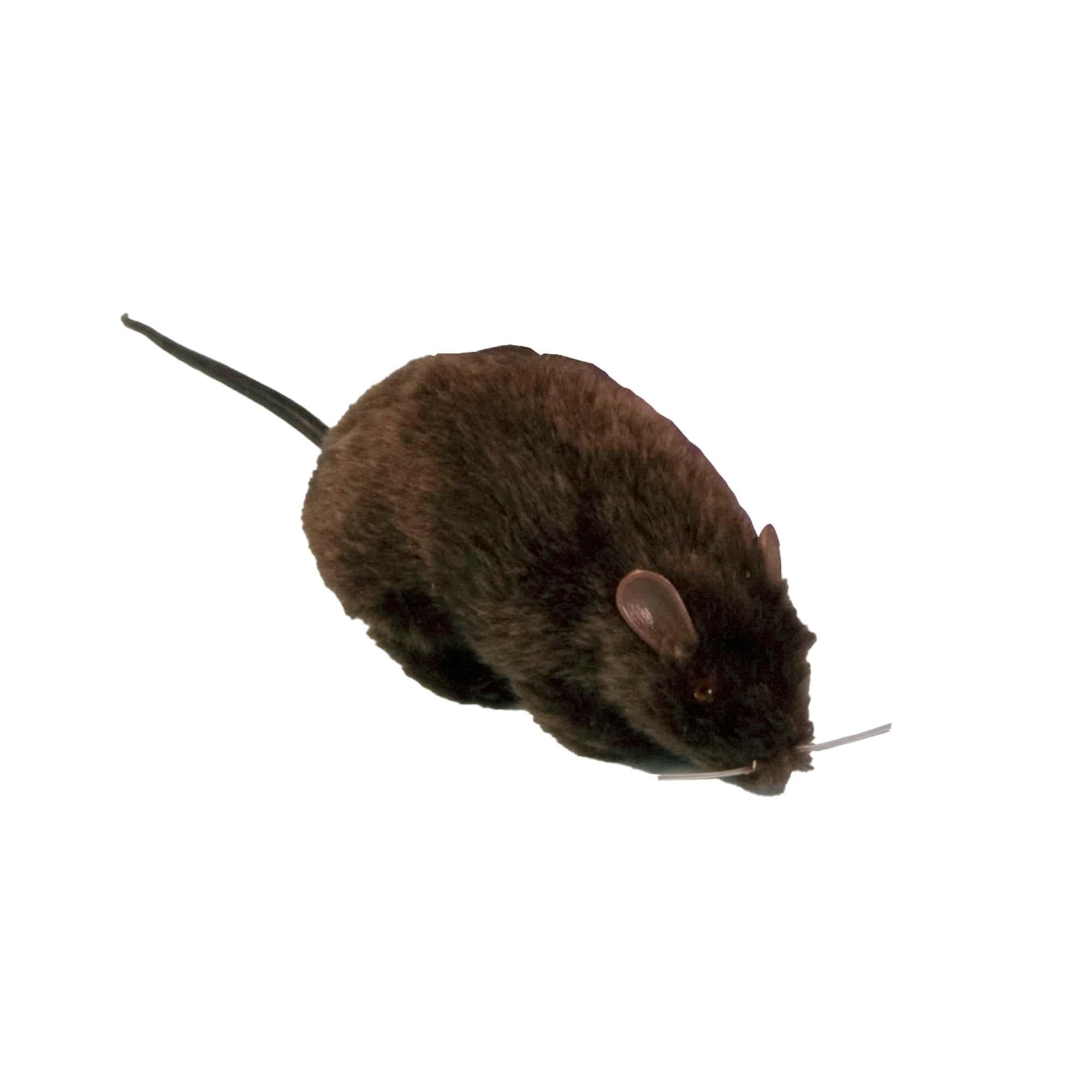 6-inch Brown Realistic Rat Decoration