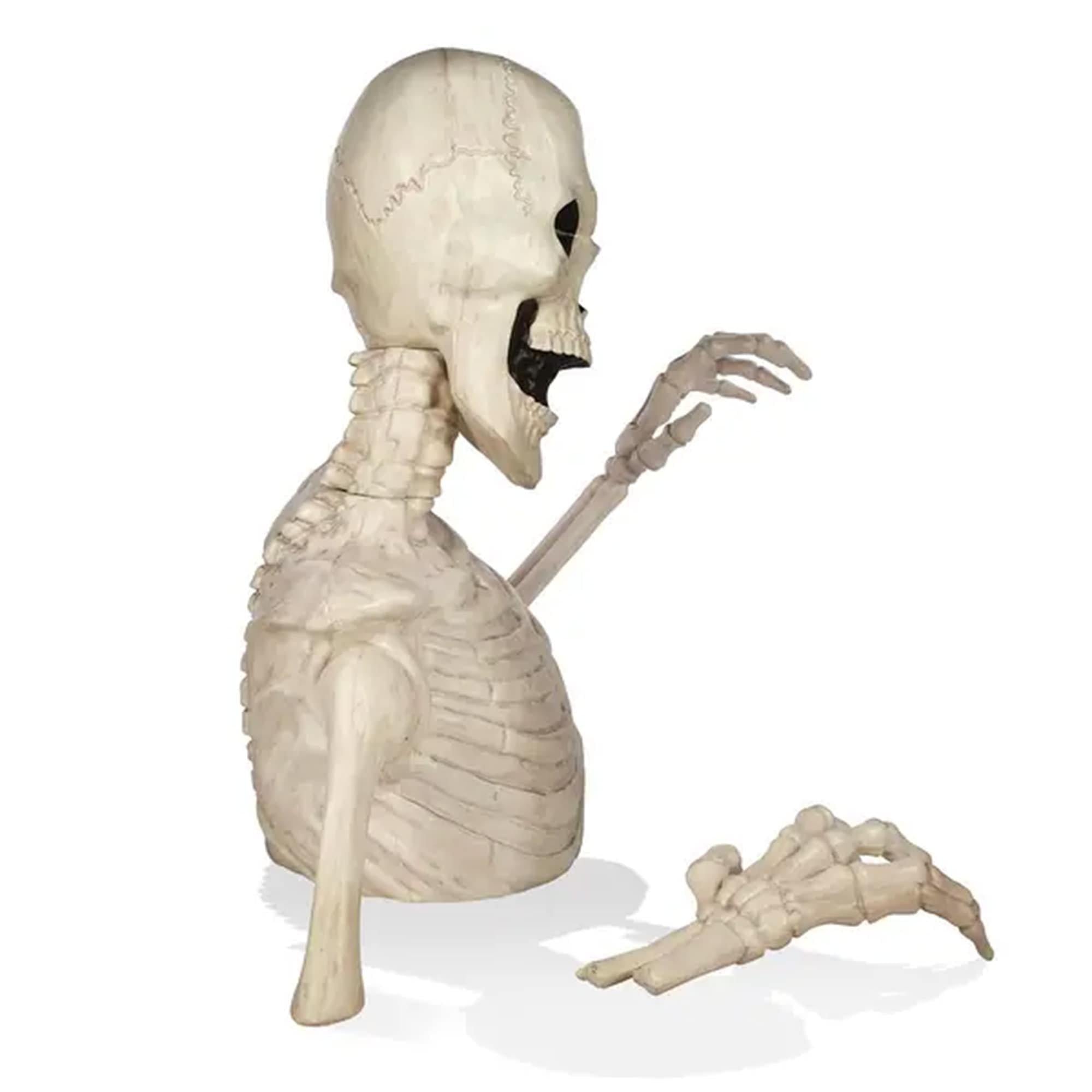 Rattles the Groundbreaking Skeleton Plastic Yard Decorating Kit, 4ft - Image 2