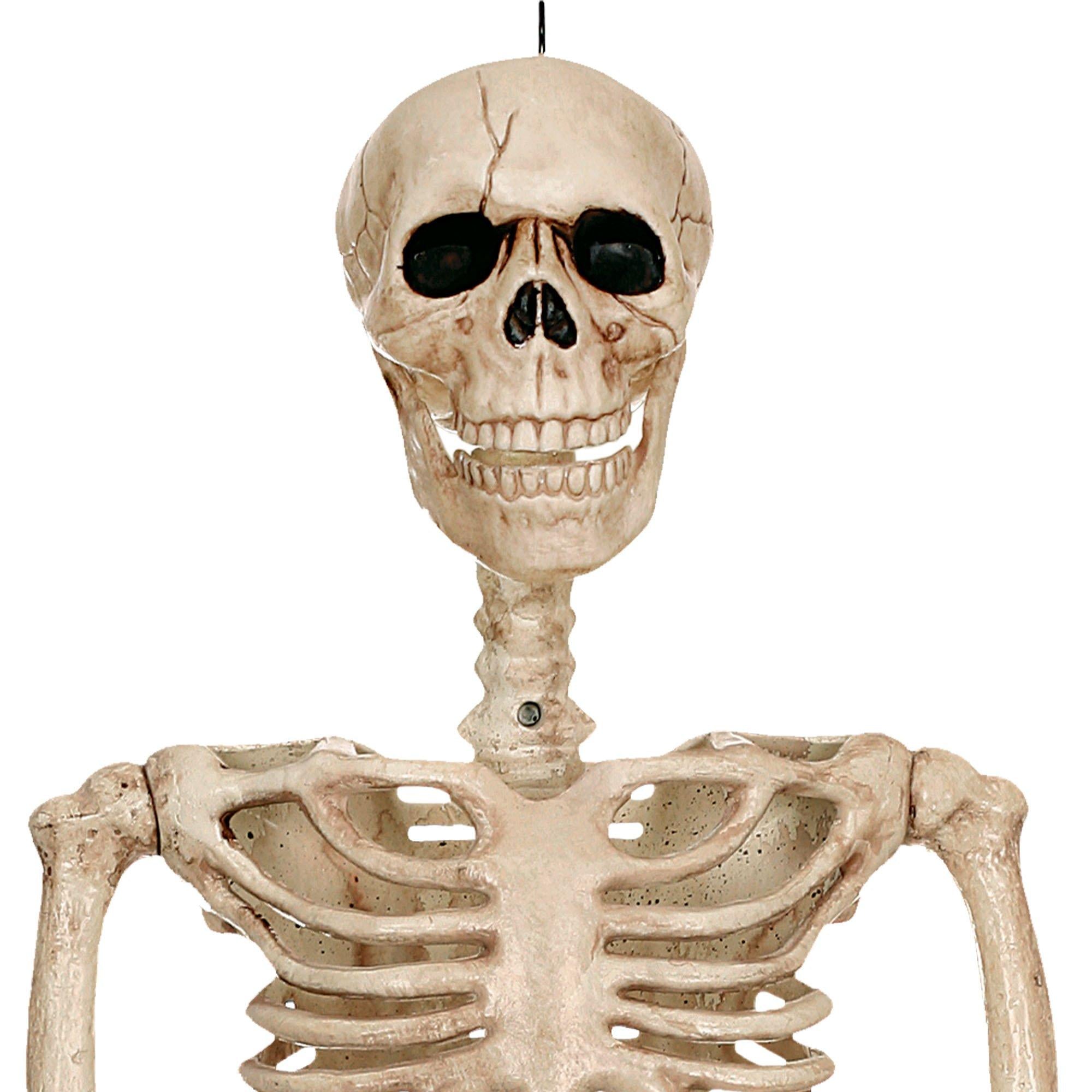 Realistic Hanging Skeleton, 3ft - Halloween Decoration - Image 2